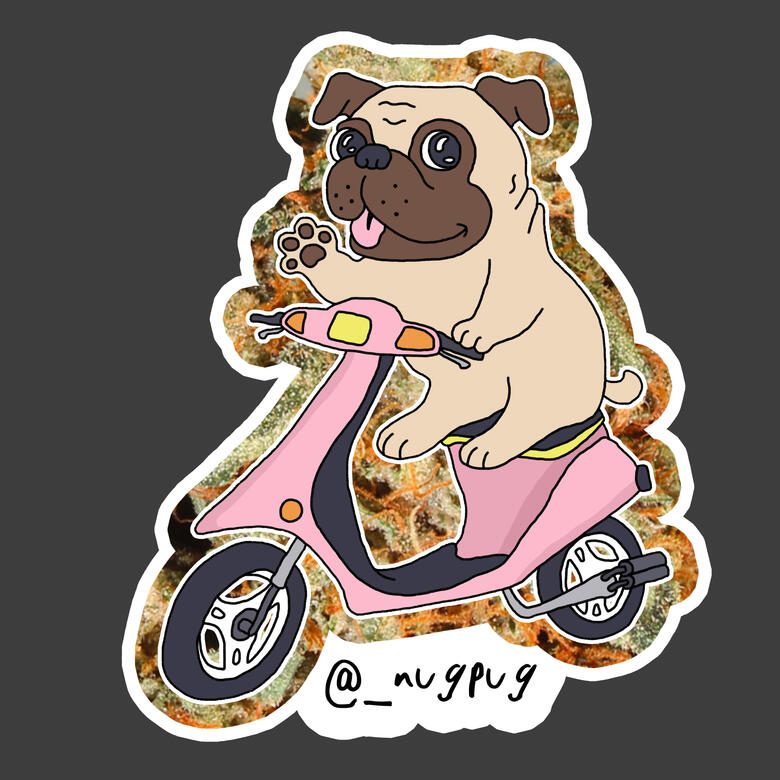 Original Character Design